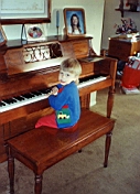 Sam 100.jpg: 1993/11/28 - Thanksgiving - 1993